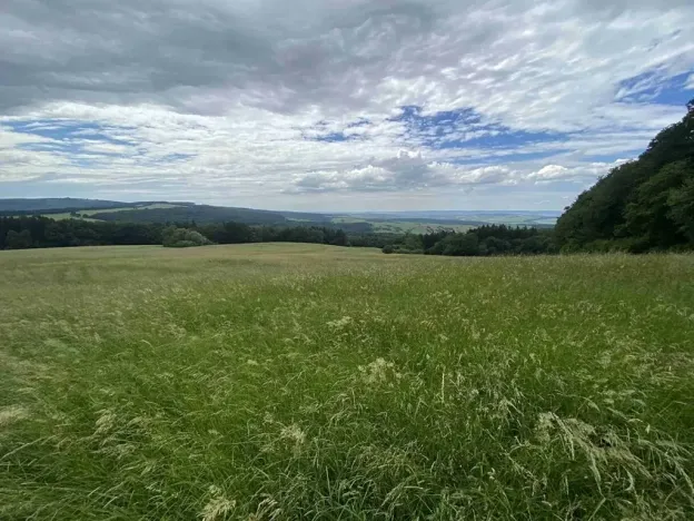 Dražba pozemku, 7545 m², Korytná