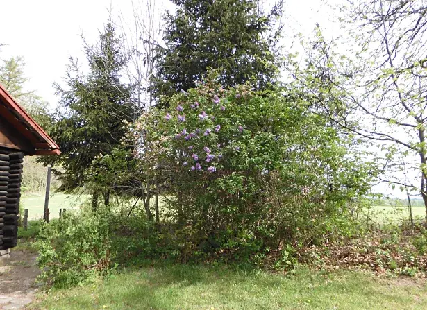 Dražba chaty, Nasavrky, 64 m2