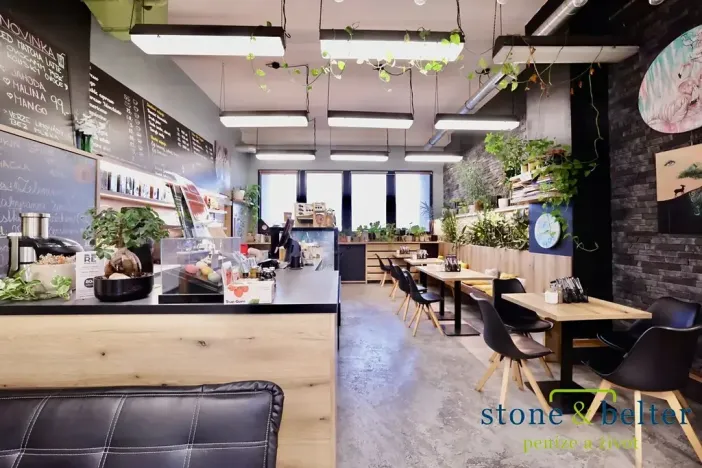 Pronájem komerčního prostoru, 254 m², Lodžská, Praha, Troja