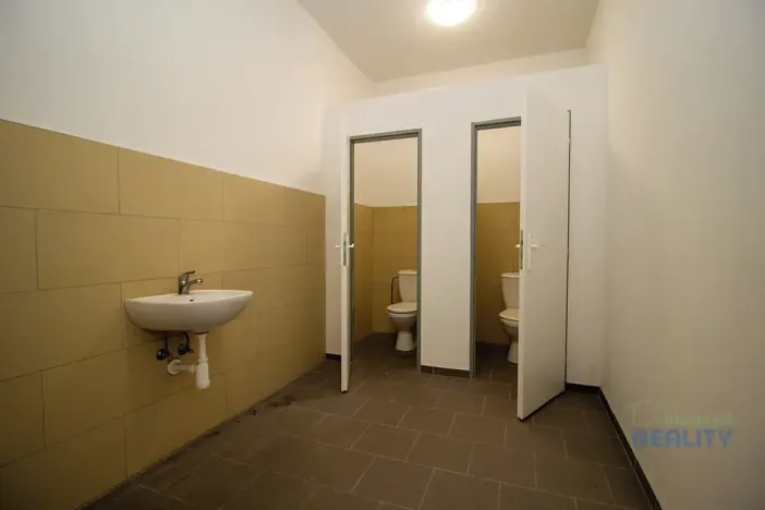 Pronájem skladu, Brandýs nad Labem-Stará Boleslav, Pražská, 953 m2