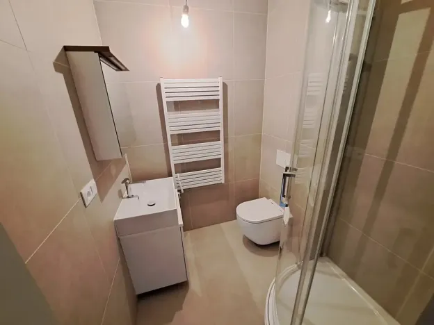 Pronájem bytu 1+kk, Brno, Koliště, 25 m2