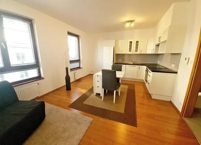 Pronájem bytu 1+kk, 40 m², Baranova, Praha, Žižkov