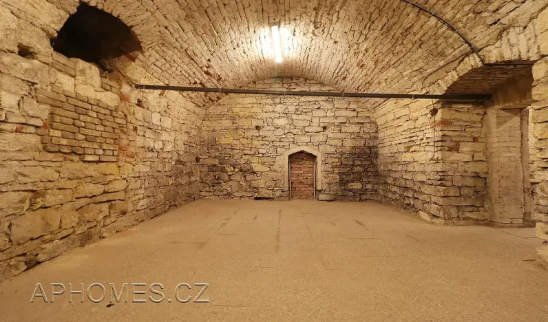 Pronájem skladu, Praha - Nové Město, Opatovická, 60 m2