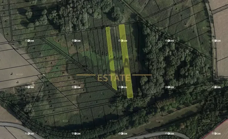 Prodej pozemku, 4747 m², Střížovice