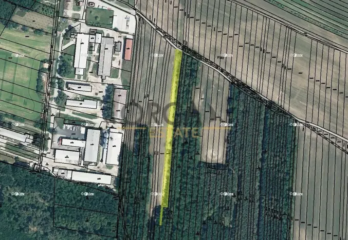 Prodej pole, Svatobořice-Mistřín, 3155 m2