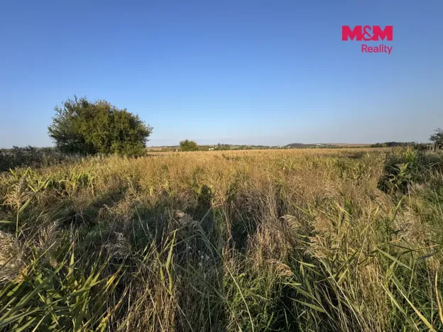 Prodej pole, Ořechov, 10404 m2
