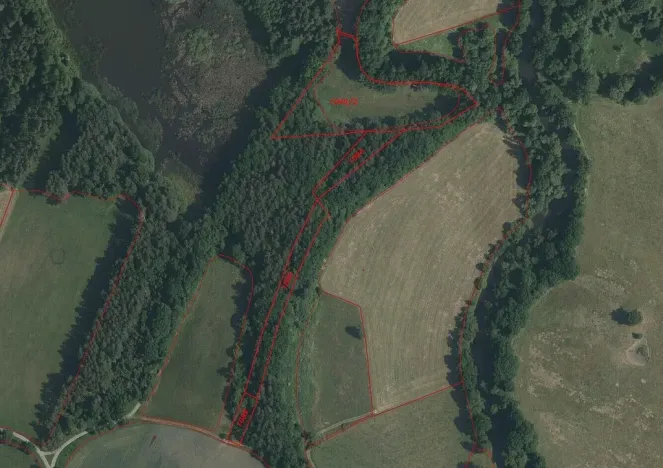 Prodej pozemku, Novosedly nad Nežárkou, 15643 m2