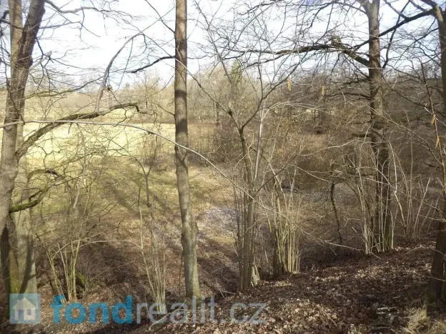 Prodej pozemku, Novosedly nad Nežárkou, 15643 m2