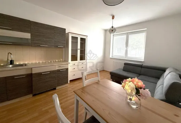 Prodej bytu 2+kk, 53 m², Novodvorská, Brno, Žebětín