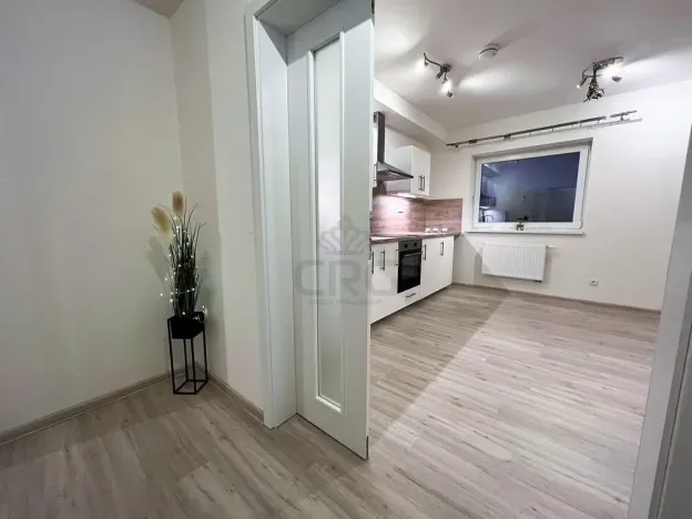Pronájem bytu 2+kk, Opava - Předměstí, Kačírkova, 54 m2