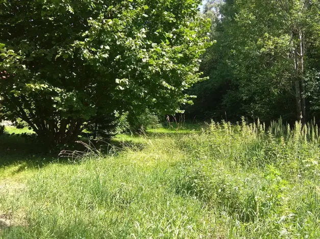 Prodej pozemku pro bydlení, Krchleby, 4000 m2