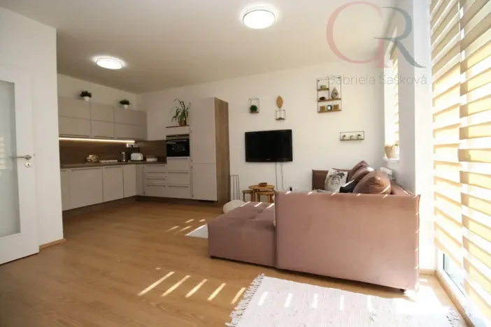 Pronájem bytu 1+kk, Plzeň - Jižní Předměstí, Inženýrská, 50 m2