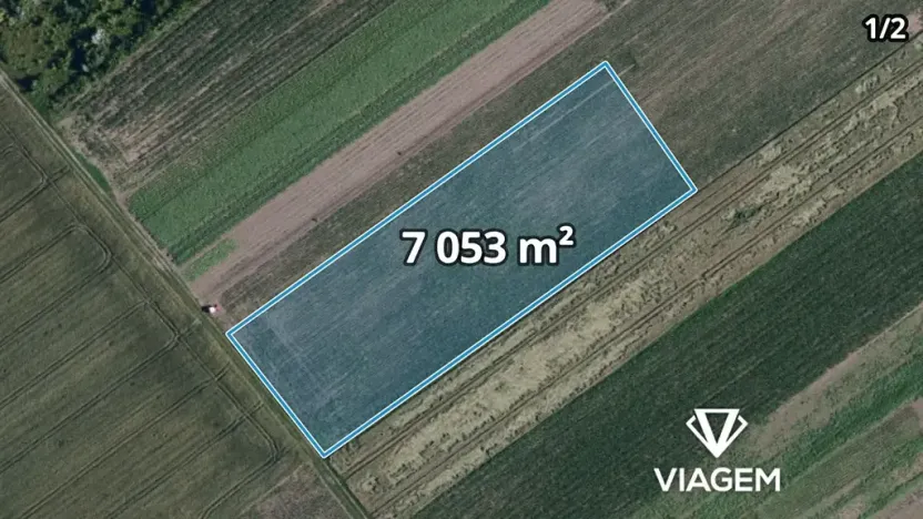 Prodej pole, 2329 m², Podivín