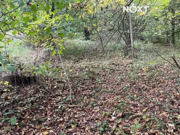 Prodej činžovního domu, Benešov nad Ploučnicí, Českolipská, 240 m2