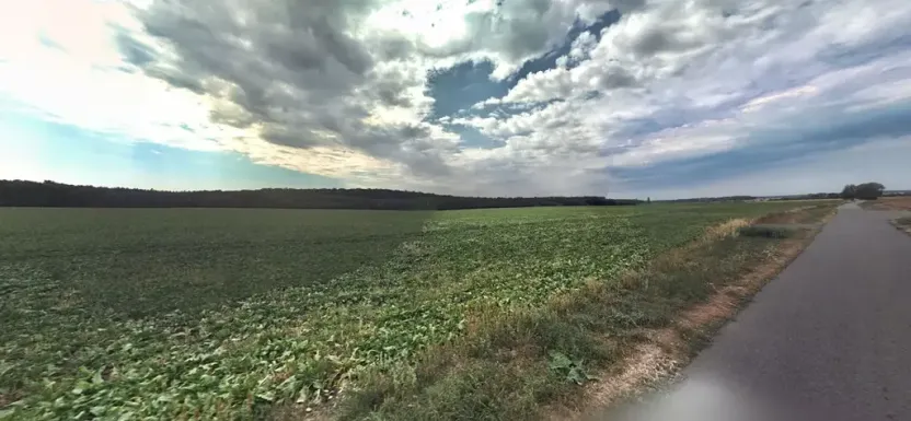 Prodej pole, Běchary, 12202 m2