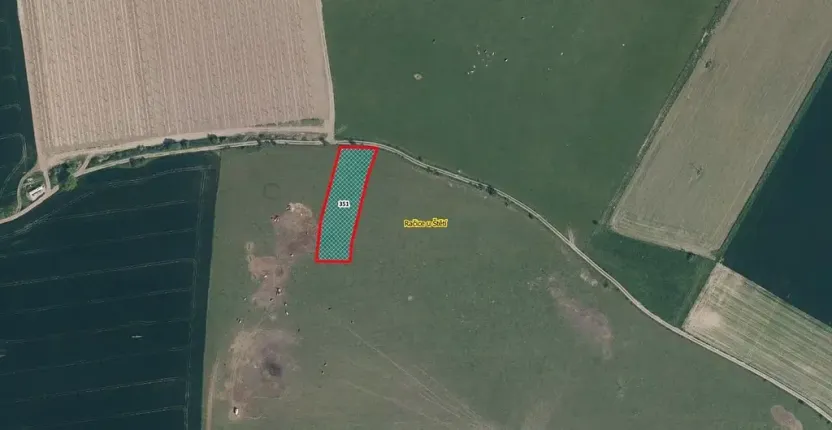 Prodej pozemku, 2554 m², Račice
