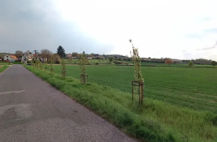 Prodej pozemku pro bydlení, Bechlín, 6418 m2