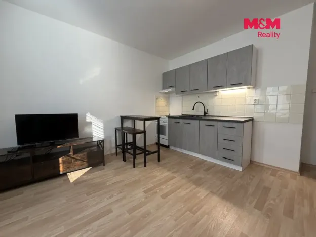 Pronájem bytu 2+kk, České Budějovice - České Budějovice 3, Riegrova, 44 m2