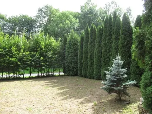 Prodej chaty, Dolní Žandov, 45 m2