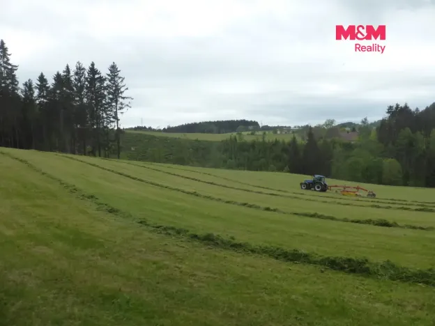 Prodej louky, Vysoká Srbská, 26090 m2