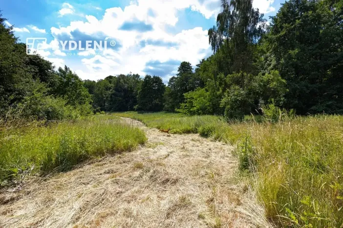Prodej pozemku pro bydlení, Velemín, 5381 m2