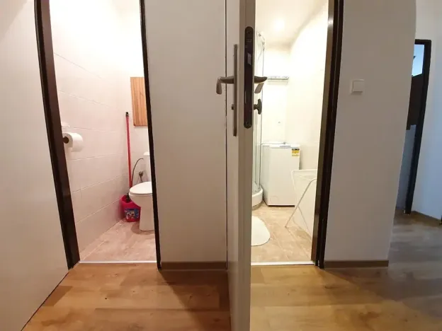 Pronájem bytu 2+kk, Praha, Přemyslovská, 46 m2