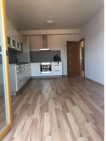 Prodej bytu 2+kk, Plzeň, U Velkého rybníka, 56 m2