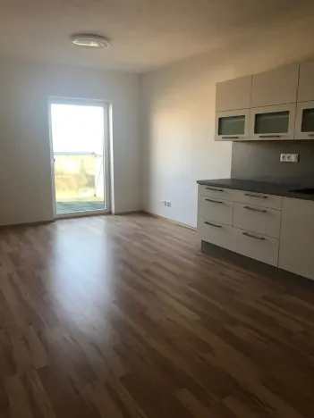 Prodej bytu 2+kk, Plzeň, U Velkého rybníka, 56 m2