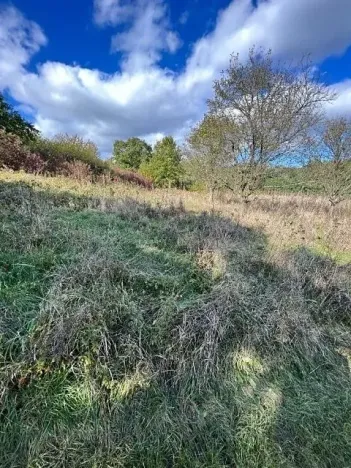 Prodej lesa, Březolupy, 910 m2