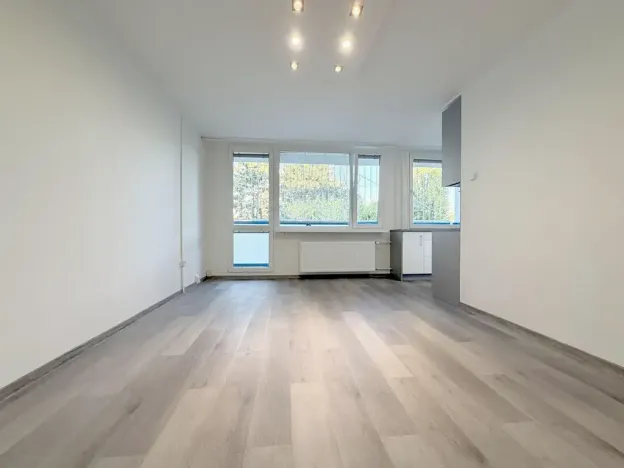 Pronájem bytu 1+kk, 28 m², Michnova, Praha 4
