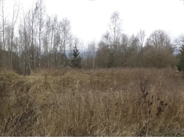 Prodej pozemku, 1390 m², Horní Planá