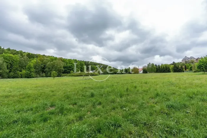 Prodej komerčního pozemku, Lipnice nad Sázavou, 38008 m2