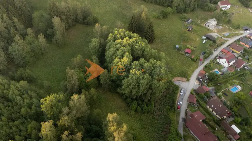 Prodej lesa, Větřní, 3373 m2