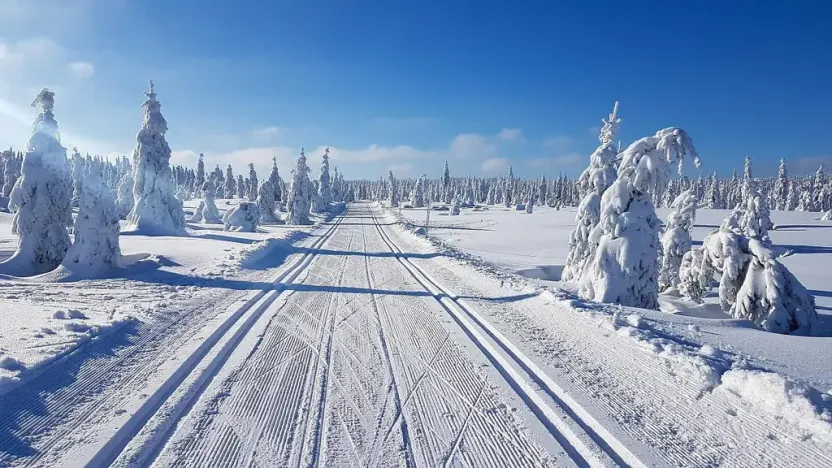 Prodej bytu 2+kk, Bedřichov, 57 m2