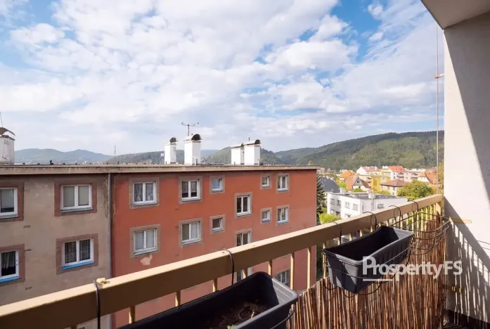 Prodej bytu 2+kk, Děčín - Děčín II-Nové Město, El. Krásnohorské, 48 m2