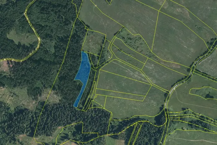 Dražba lesa, Dlouhý Újezd, 7291 m2