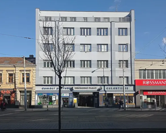 Pronájem obchodního prostoru, Brno, Palackého třída, 90 m2