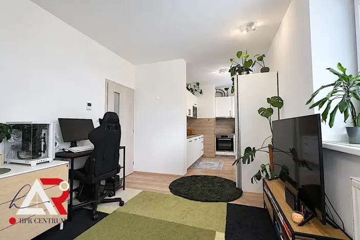 Prodej bytu 1+kk, Brno, Přírodní, 37 m2