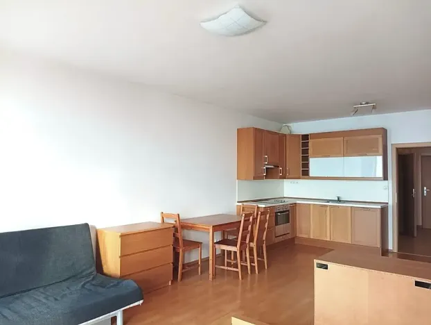 Pronájem bytu 1+kk, 44 m², Panuškova, Praha, Krč