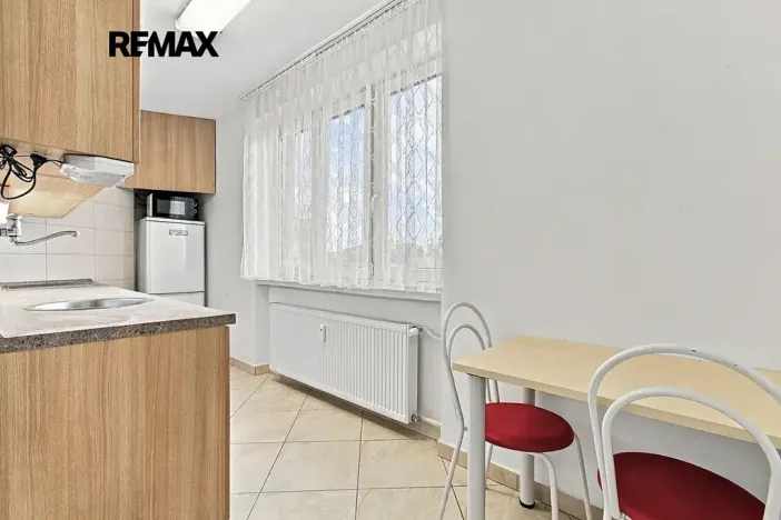 Prodej bytu 1+1, Plzeň, Revoluční, 40 m2