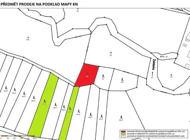 Prodej lesa, Radkovice u Budče, 783 m2