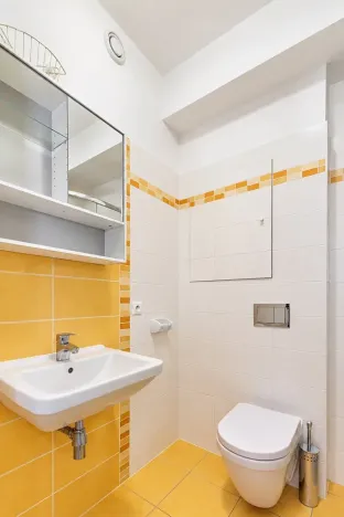 Prodej bytu 1+kk, Praha - Vysočany, Freyova, 33 m2