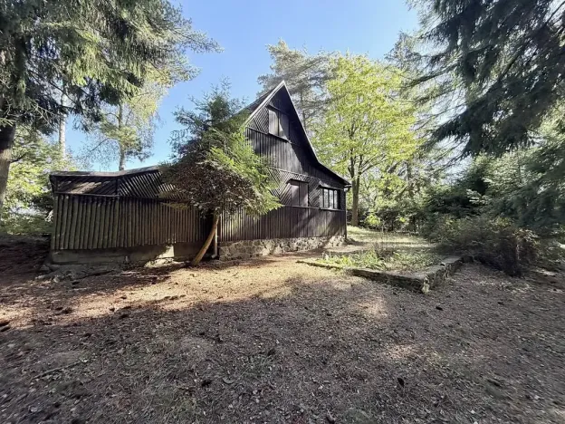 Prodej lesa, 53 m², Borová