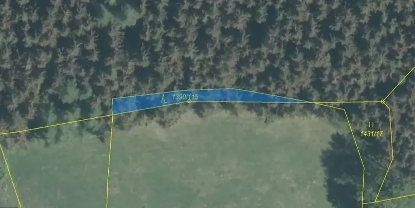 Dražba lesa, Zděchov, 200 m2