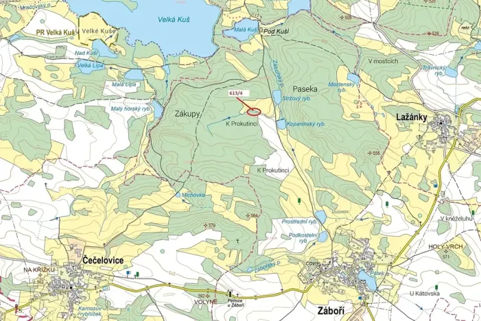 Dražba lesa, 185 m², Záboří