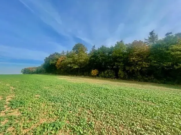 Prodej pole, Praha - Liboc, Na Padesátníku I, 24066 m2