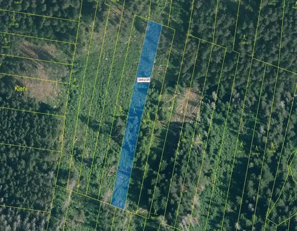 Dražba lesa, Prachatice, 2082 m2