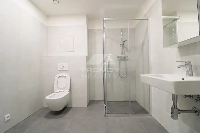 Pronájem bytu 2+kk, Plzeň, Heyrovského, 60 m2