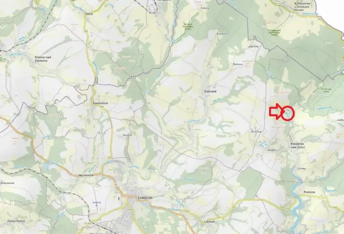 Prodej podílu lesa, Klášterec nad Orlicí, 2328 m2