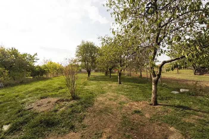 Prodej rodinného domu, Nové Syrovice, 77 m2